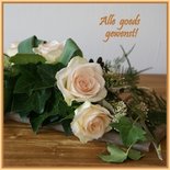 Rozen, alle goeds! (ENKEL)