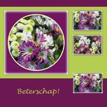 Beterschap, aubergine (ENKEL)