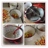 Appelmoes maken