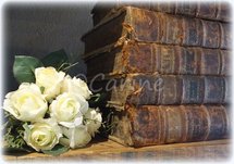Stapel oude boeken (Ansichtkaart)