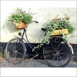 Opoefiets