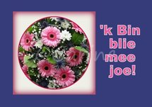 'Ik bin blie' (Ansichtkaart)