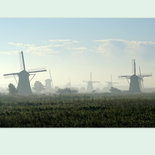Kinderdijk in mist