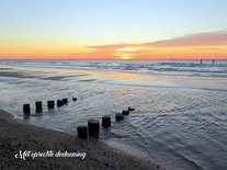 Deelneming, zee (Ansichtkaart)
