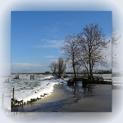 Sneeuwlandschap, blanco