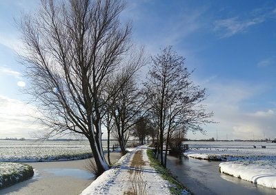 Sneeuwpaadje (Ansichtkaart)