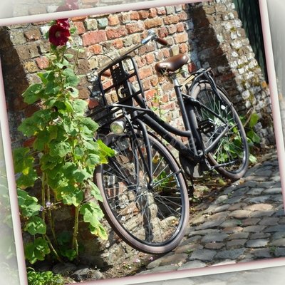 Fiets Veere