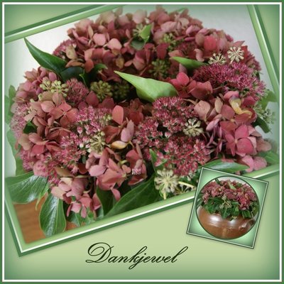 Dankjewel, hortensia (ENKEL)