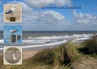 Groeten uit Zeeland, (Ansichtkaart, groot)