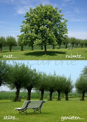 Rust en ruimte, (Ansichtkaart, groot)