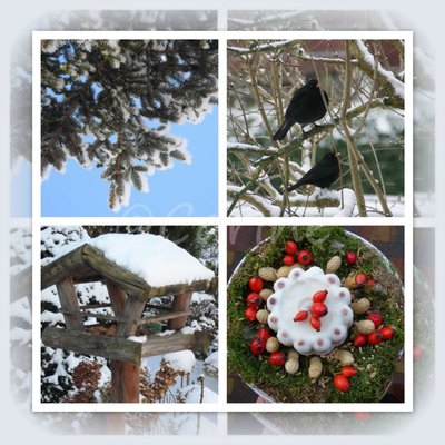 Merels in sneeuw