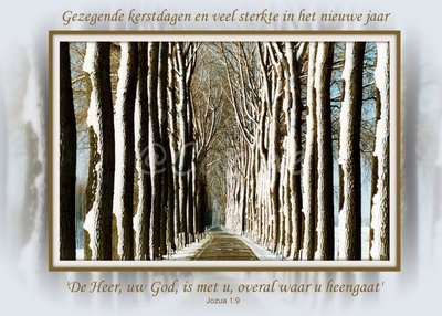 Bomenlaan (Ansichtkaart, groot)