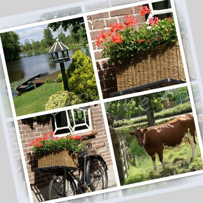 Alblasserwaard, collage