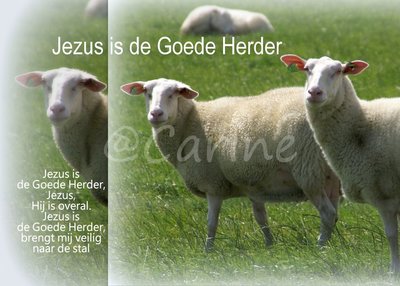 De Goede Herder (Ansichtkaart, groot)