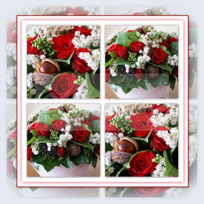 Rozen met kastanje
