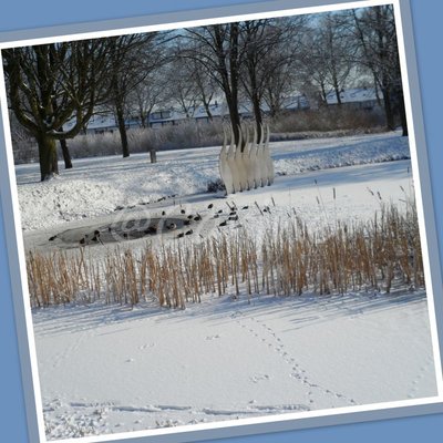 Vijverpark in sneeuw