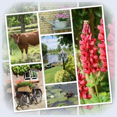 Aan de Graafstroom