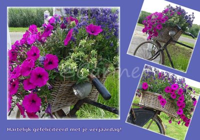Fietsencollage (Ansichtkaart)