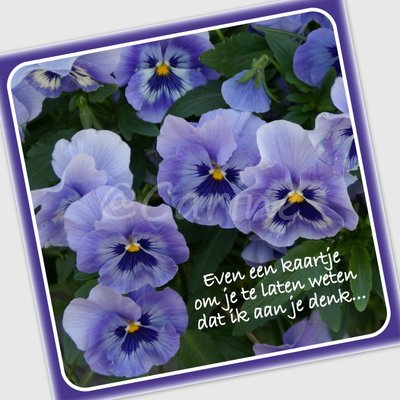 'Even een kaartje...'