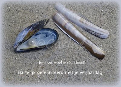 Parel, gefeliciteerd (Ansichtkaart)