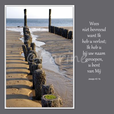 'Wees niet bevreesd'