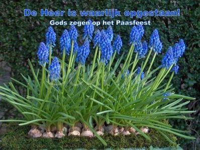 Pasen (Ansichtkaart)