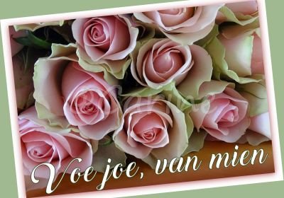 'Rozen, voe joe' (Ansichtkaart)