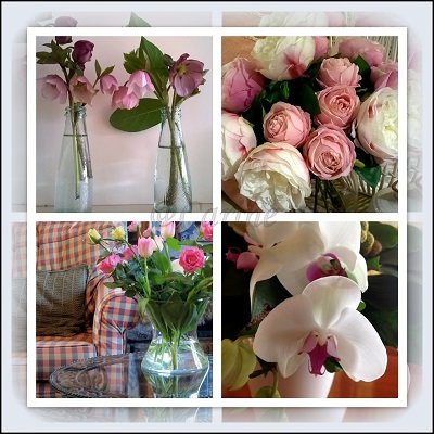 Roze in viervoud