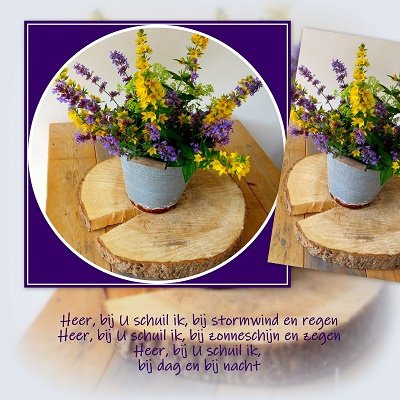 Bij U schuil ik