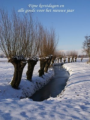 Wilgenrij (Ansichtkaart)