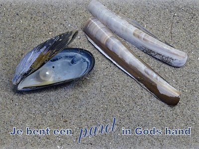 Parel in Gods hand (Ansichtkaart)