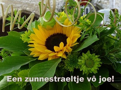 'Zunnestraeltje' (Ansichtkaart)