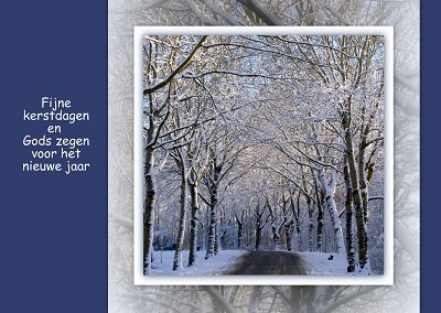 Bos in sneeuw (Ansichtkaart) Bos in sneeuw (Ansichtkaart)