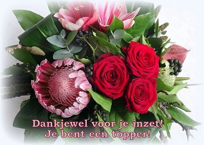 'Topper!' (Ansichtkaart) 'Topper!' (Ansichtkaart)