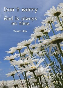 Don't worry! (Ansichtkaart) Don't worry! (Ansichtkaart)