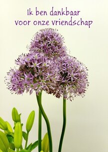 Dankbaar voor vriendschap (Ansichtkaart) Dankbaar voor vriendschap (Ansichtkaart)