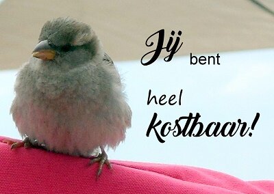 Jij bent kostbaar (Ansichtkaart) Jij bent kostbaar (Ansichtkaart)