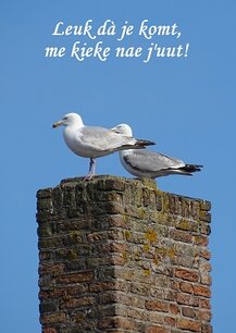 'Leuk dà je komt!' (Ansichtkaart) 'Leuk dà je komt!' (Ansichtkaart)