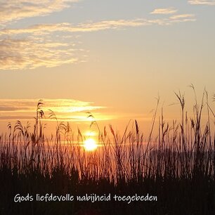 Rietkraag, nabijheid