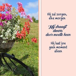 Hij zal zorgen Hij zal zorgen