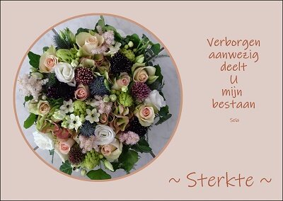 Verborgen aanwezig (Ansichtkaart) Verborgen aanwezig (Ansichtkaart)