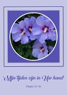 Mijn tijden, Psalm 31 (Ansichtkaart) Mijn tijden, Psalm 31 (Ansichtkaart)