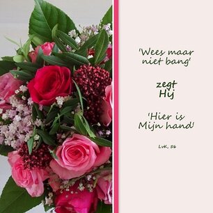 Wees maar niet bang Wees maar niet bang