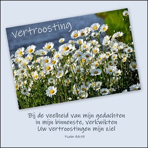 Vertroosting Vertroosting