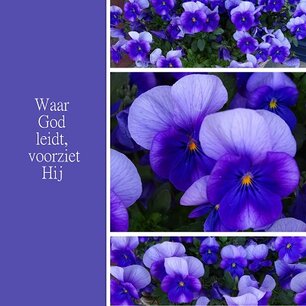 Waar God leidt, voorziet Hij Waar God leidt, voorziet Hij