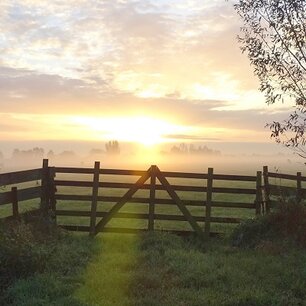 Ochtendzon in mist Ochtendzon in mist