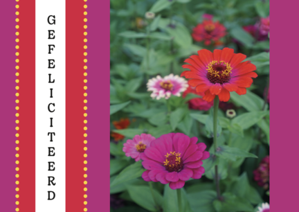 Gefeliciteerd bloem (ansichtkaart) Gefeliciteerd bloem (ansichtkaart)
