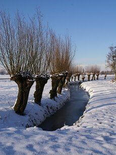 Sneeuwsloot (Ansichtkaart)