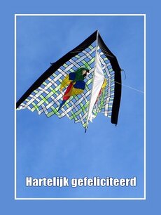 Vlieger (Ansichtkaart) Vlieger (Ansichtkaart)